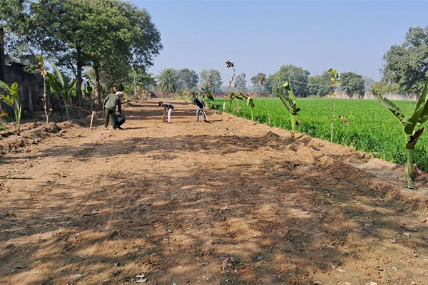 Luxurious farmhouse in Ghalibpur, South West Delhi, adjacent to AIIMS Badhsa and Sahibi River_brandestate.in